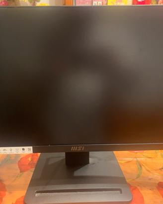 Monitor MSI