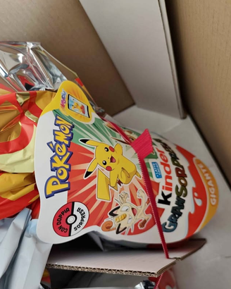 Pokemon Kinder