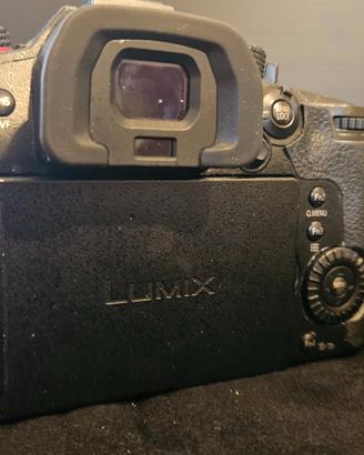 Panasonic Lumix GH5s
