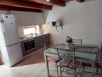 appartamento indipendente con cortile tto!