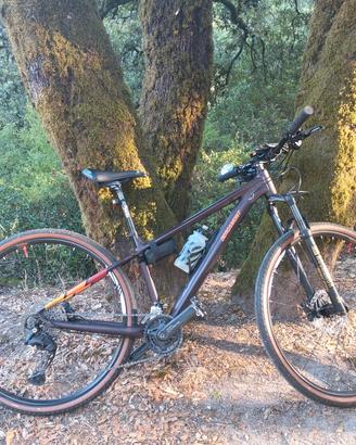 permuto con bici da corsa (conguaglio disponibile)