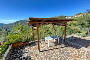 Terratetto con resede