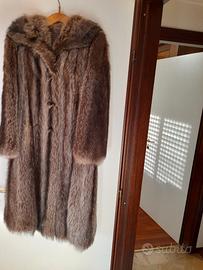 pelliccia di marmotta 