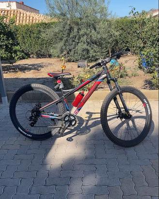 Bici mountain bike