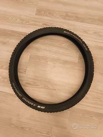 Gomma Schwalbe Magic Mary 29 Bikepark Edition