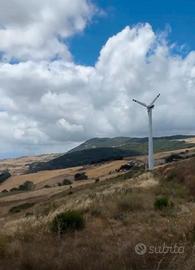 Pala eolica da 60kwTt con incentivo gse