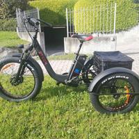 e-bike cargo, ideale per disabili