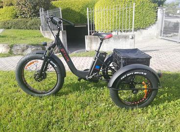 e-bike cargo, ideale per disabili