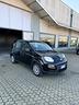 fiat-panda-1-0-firefly-s-s-hybrid