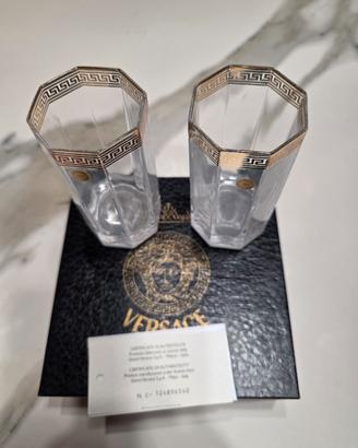 Set 2 bicchieri di Versace con bordo in oro zecchi