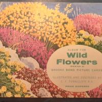 ALBUM DI FIGURINE - BROOKE BOND LTD - WILD FLOWERS