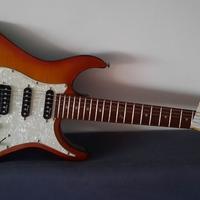 Chitarra elettrica Armas Dodi Battaglia (Pooh)