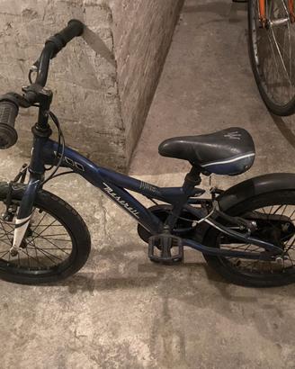 Bici per imparare  bambini 3-6 anni