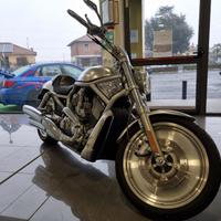 HARLEY-DAVIDSON 1130 V-ROD - VRSCA V ROD