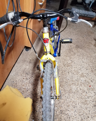 Bici 20"