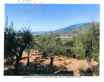 Terreno Agricolo Uzzano [A4344420]