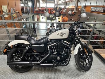 Harley 883 iron
