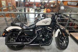 Harley 883 iron