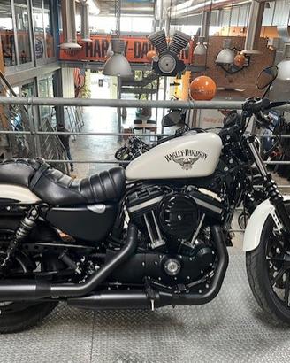 Harley 883 iron