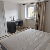 Stanza in appartamento condiviso