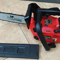 Motosega da potatura ProGreen Pg 2500