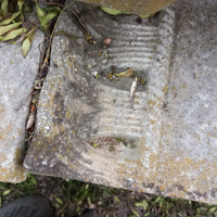 Cordoli da giardino aiuola