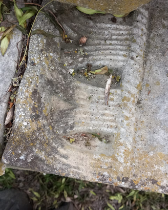 Cordoli da giardino aiuola