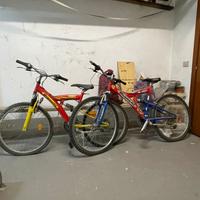 Biciclette Bianchi