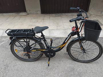 bici elettrica 