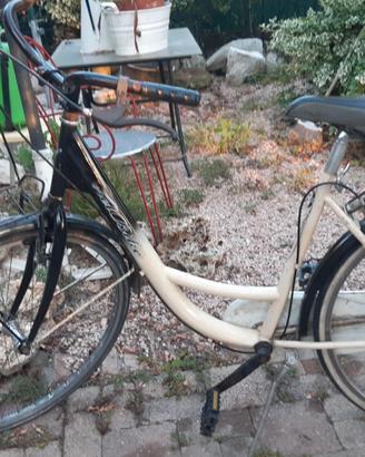 bici donna ruota 26 economica