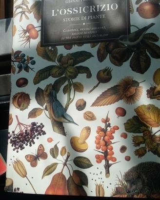 L ossicrizio storia di piante