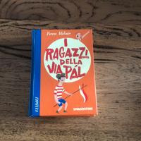 Libro  iragazzi della via pal
