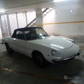 ALFA ROMEO SPIDER