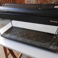 Acquario accessoriato