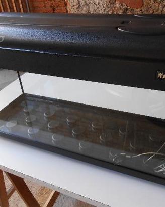 Acquario accessoriato