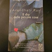 Il dio delle piccole cose, Arundhati Roy, 2022, Li