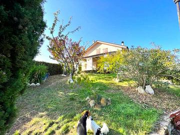 SOLUZIONE SINGOLA IMMERSA NEL VERDE con TERRENO