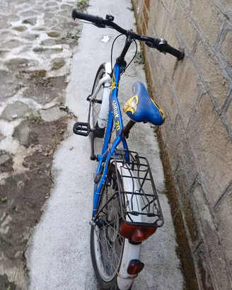   bicicletta da bambino 