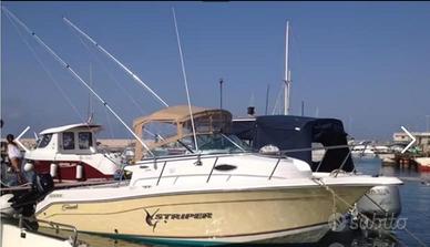 fisherman walkaround americano  Striper 2110