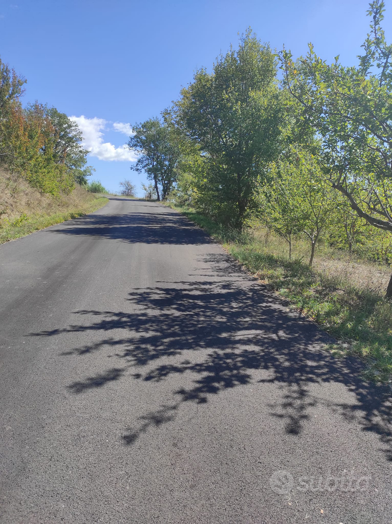 Piccolo rustico e terreno agricolo Toro - Altro