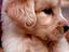 Immagine 10