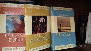 Lotto 12 libri di narrativa internazionale