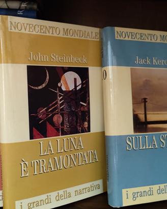 Lotto 12 libri di narrativa internazionale