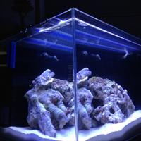  acquario del 2015  e accessori 