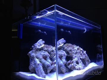  acquario del 2015  e accessori 