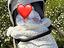 Immagine 5