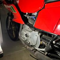 Ducati 500 Pantah - 1980