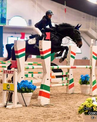 Cavallo per Brevetto e Primo Grado