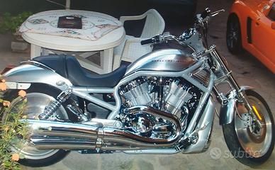 HARLEY DAVIDSON VROD