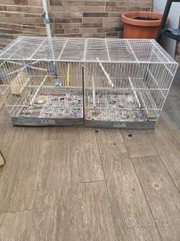 Gabbia uccelli